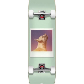 Jart Instant Film Skateboard 8.25